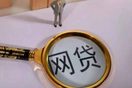 兰西债务清欠服务