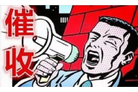 兰西企业清欠服务